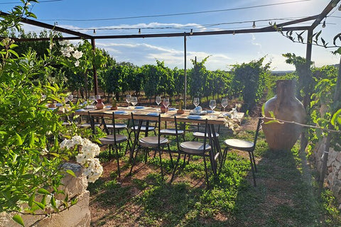 A long table laid for dining among the vines at a Spanish vineyard